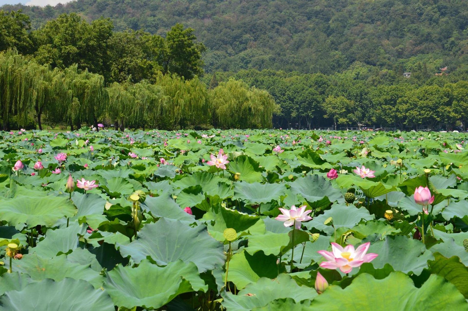 Nost Algia S Hotel In The West Lake Scenic Area-,Lingyin Temple, Leifeng Tower, Children'S Playground, Free Night Snack, Free Laundry, English Communication Well, Free Travel Advice Hangzhou Zewnętrze zdjęcie